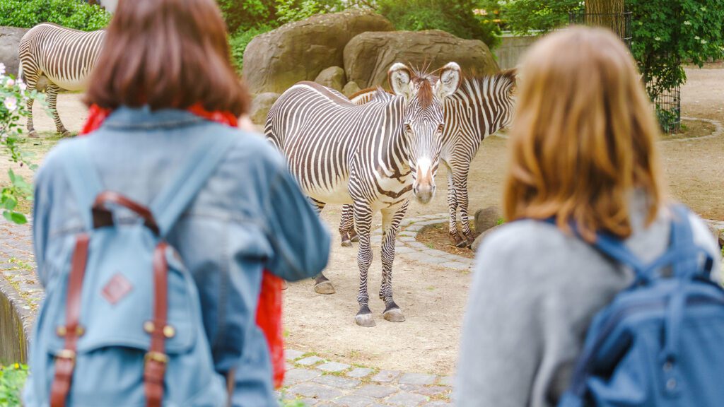 De leukste uitjes voor jullie KVW organisatie